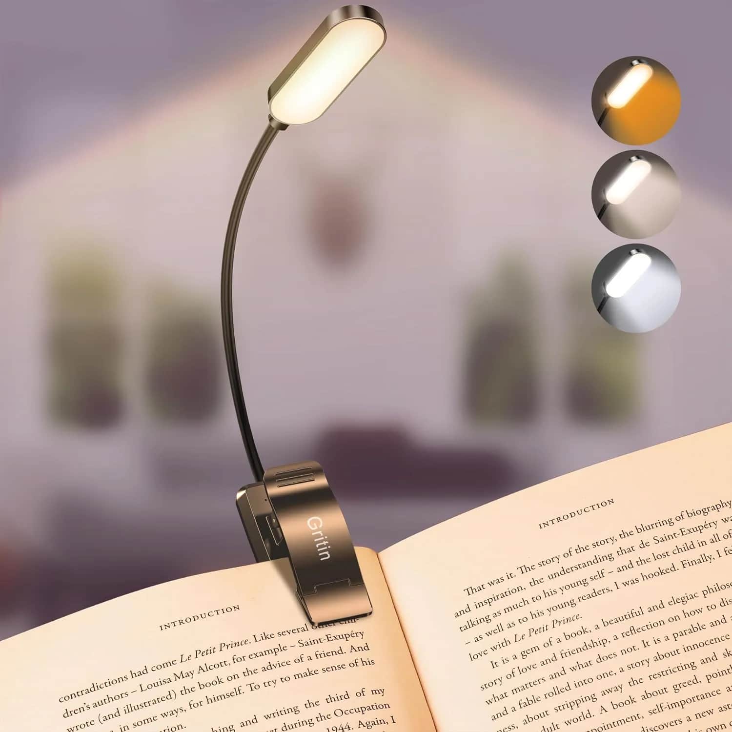 Rechargeable Clip-On Reading Light