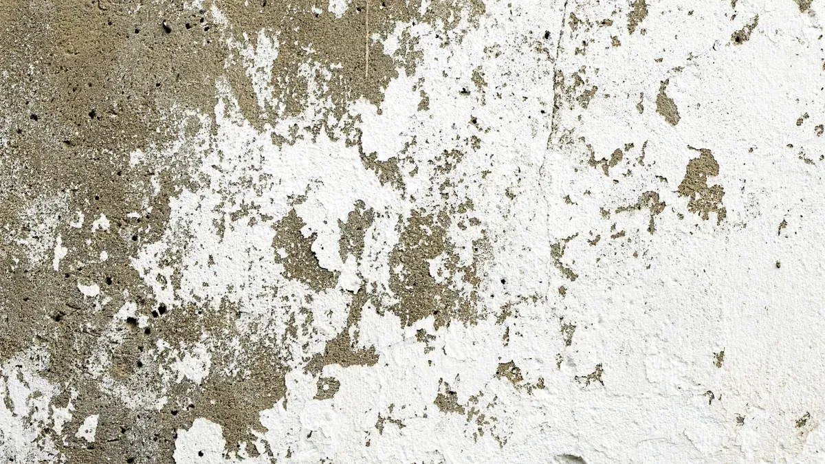 Rising damp or leak? How to tell the signs apart on a wall