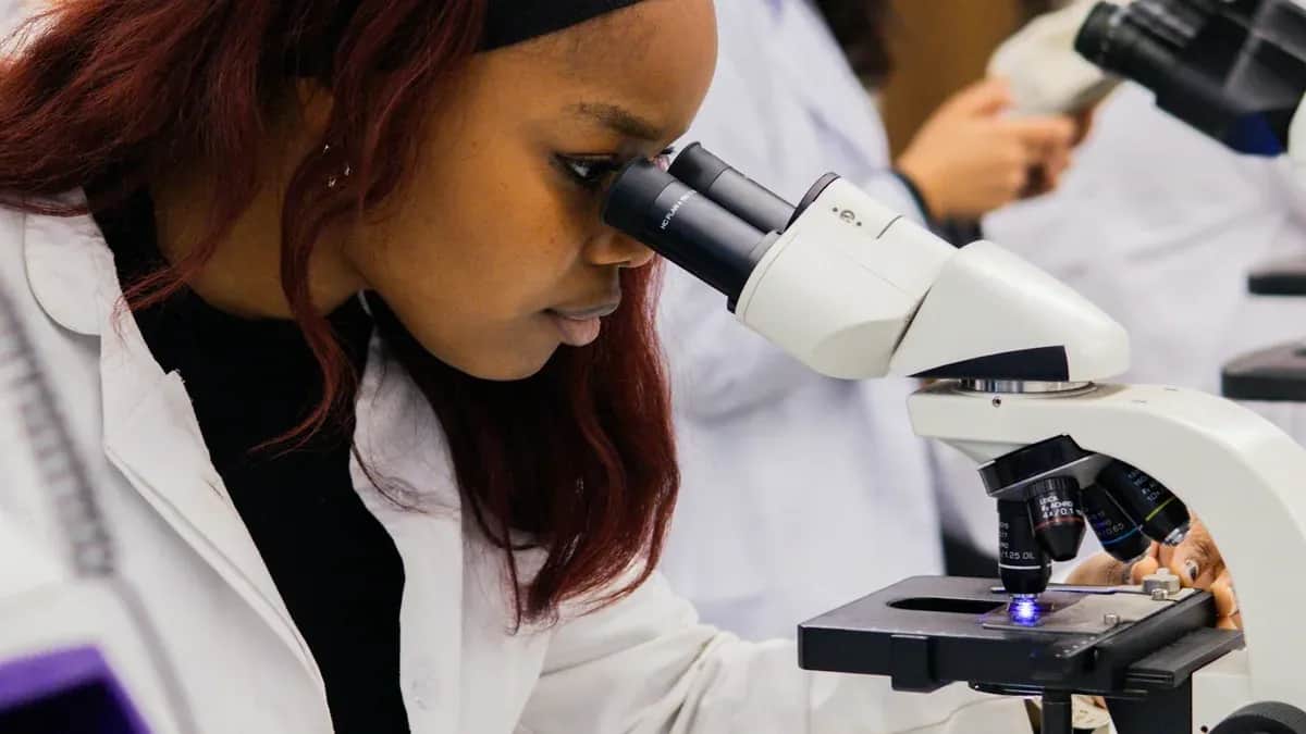 Can virtual labs complement hands-on classes?