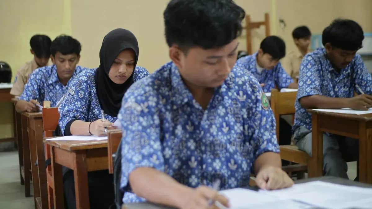 How knowledge olympiads for students work
