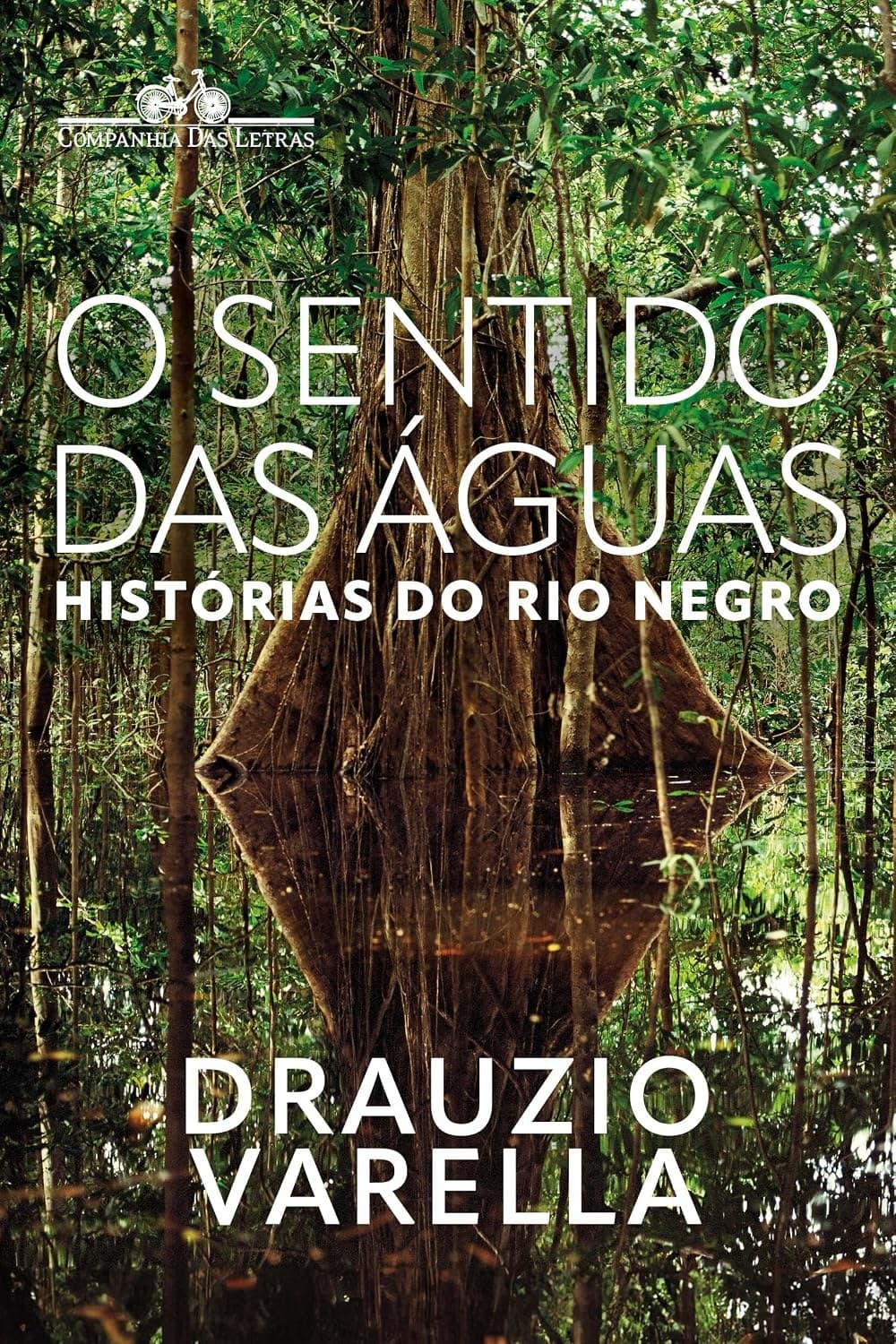 Cover of the book O sentido das águas
