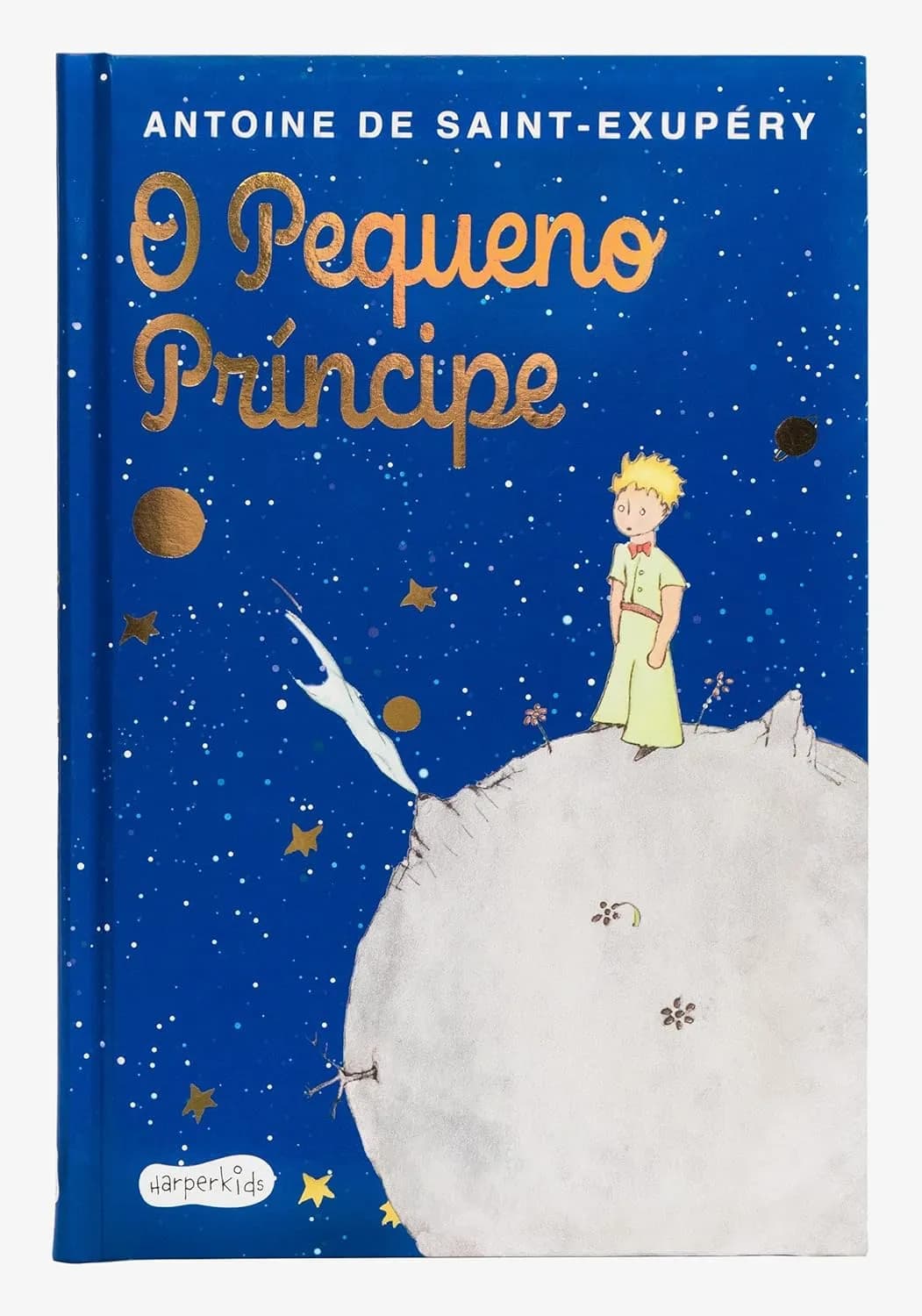Original Humanevi thematic illustration inspired by O Pequeno Príncipe - Edição de Luxo Almofadada; not the official cover.