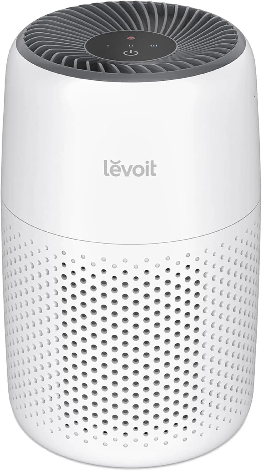 Portable Air Purifier