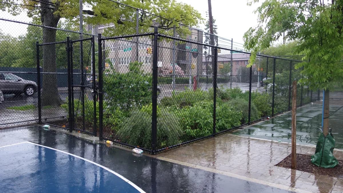 O que são cidades-esponja e como podem reduzir enchentes urbanas